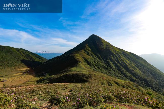 Núi Cao Ly có độ cao hơn 1000m so với mực nước biển rất phù hợp cho việc trekking, cuối mùa hè đầu mùa thu núi Cao Ly được phủ bởi màu tím của hoa mua.