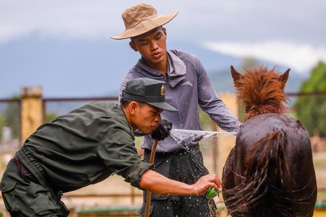 Các chiến sĩ tắm cho ngựa con. Ngựa là giống thích nước nên việc vệ sinh chuồng hay tắm cho chúng rất dễ dàng.