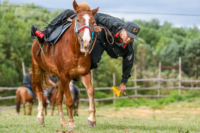 Phần nhặt đồ dưới đất là mục khá khó, đòi hỏi chiến sĩ và ngựa phải hết sức khéo léo, thuần thục trong từng động tác riêng lẻ. Việc nghiêng người trên lưng ngựa có thể thực hiện để nhặt đồ dưới đất hoặc né đạn địch trong tác chiến thực sự.