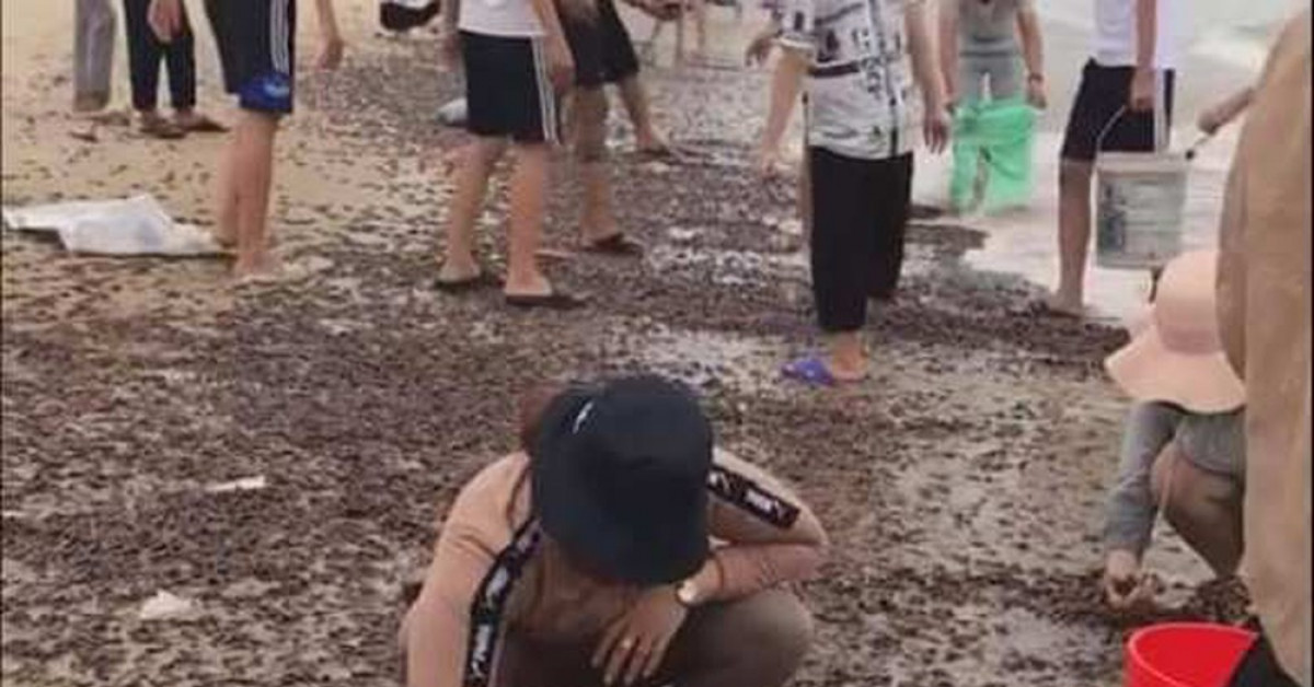 Tin tức trong ngày - Người dân Quảng Bình nhận "lộc trời" chưa từng thấy sau cơn bão đi qua