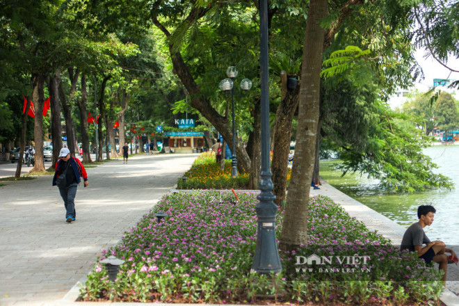 Song song với việc lát đá vỉa hè đang dần về đích, các hạng mục trồng hoa, trải thảm cỏ đang gấp rút hoàn thành tạo cảnh quan mới lạ, độc đáo cho hồ Hoàn Kiếm.