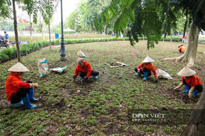 Bên cạnh những bồn hoa đã hoàn thiện, đội ngũ công nhân cũng đang miệt mài trồng thêm các loại cây cỏ, hoàn thiện nốt những khu vực còn dang dở.