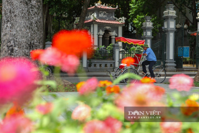 Những bồn hoa đa sắc màu tạo vẻ tươi mới cho hồ Hoàn Kiếm.