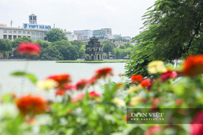 Cùng các hạng mục khác trong dự án chỉnh trang, cải tạo bờ hồ Hoàn Kiếm, hạng mục trồng mới hoa ven bờ hồ cũng đang được đẩy nhanh tiến độ để chào mừng dịp kỷ niệm 1010 năm Thăng Long - Hà Nội và Đại hội Đảng bộ TP Hà Nội lần thứ XVII.