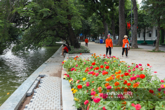 Người dân ngồi hóng gió bên bờ kè vỉa hè mới, "tựa lưng" vào vườn hoa sặc sỡ.