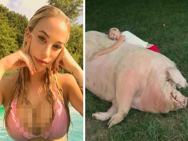 Thể thao - Mỹ nhân nóng bỏng hẹn hò golfer ẵm giải triệu đô, thích nuôi lợn khổng lồ