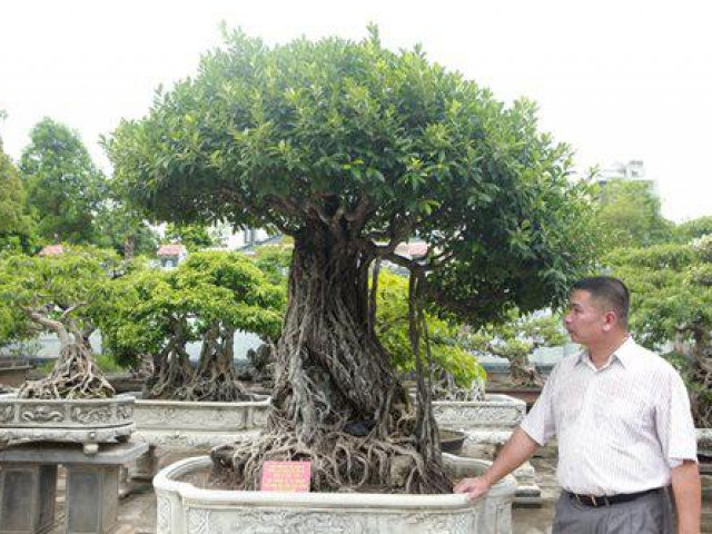 Thị trường - Tiêu dùng - Mãn nhãn trước bộ ba si cổ hàng trăm tuổi, trị giá chục tỷ đồng của đại gia Tuấn "vàng"