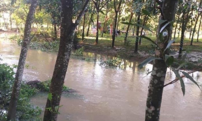 Đoạn suối qua xã Gia Tân 2 (huyện Thống Nhất) - nơi phát hiện thi thể nạn nhân.