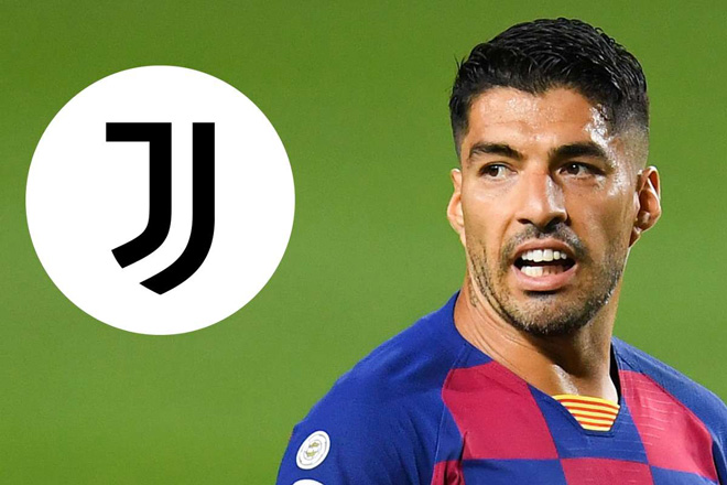 Hé lộ sự thật vụ Suarez tới Juventus đổ bể: Gian lận thi cử, cảnh sát điều tra? - 1
