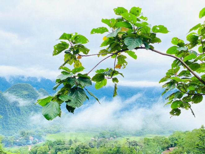 Tháng 9 và 10 là khoảng thời gian đẹp nhất tại Pù Luông.