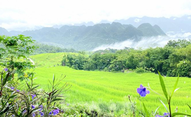 Những thửa ruộng bậc thang khoác một màu áo mới.&nbsp;&nbsp;