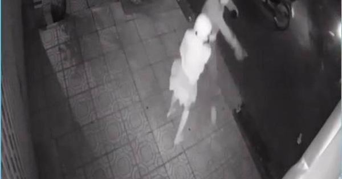 Pháp luật - Bắt 4 thanh thiếu niên rình rập phụ nữ trong đêm bị camera ghi hình