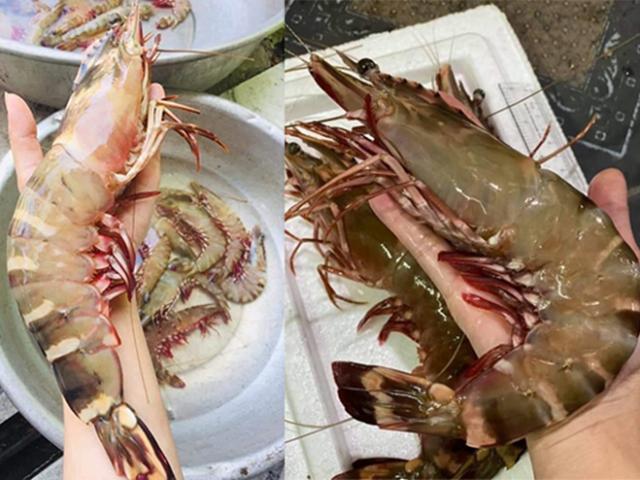Thị trường - Tiêu dùng - Bất ngờ loại tôm mỗi con có giá bằng cả lượng vàng, nay được rao bán “siêu rẻ”