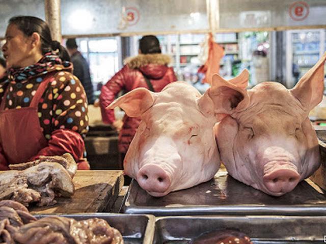 Thế giới - Chiến dịch "vét sạch bát đĩa" của TQ: Tỉnh đầu tiên có luật phạt nặng