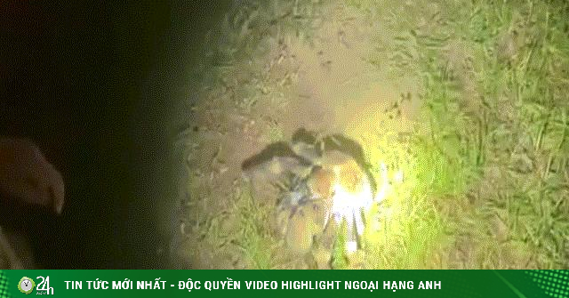 Video: Đàn cua khổng lồ bao vây gia đình cắm trại trên đảo