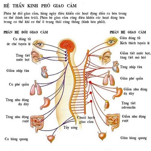 10 phút massage hay nghỉ ngơi giúp cơ thể chống lại căng thẳng - 1