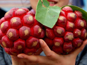 Thị trường - Tiêu dùng - Quả na lạ đỏ như máu mọc dại ở Việt Nam, đắt gấp 3 na thường vẫn hút khách