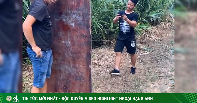 Câu chuyện tấm ván định mệnh không có hồi kết