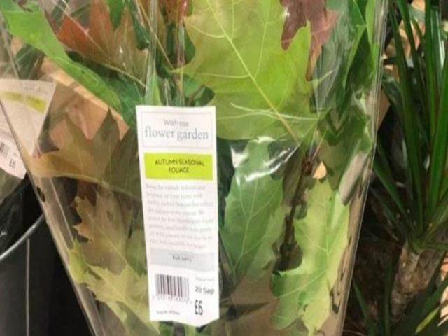 Thị trường - Tiêu dùng - Siêu thị "gây bão" MXH khi bán gần 200.000 đồng/bó lá khô rụng đầy đường