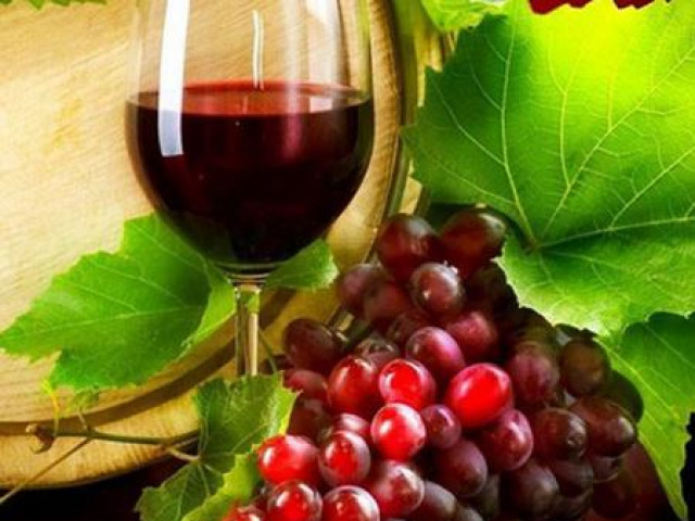 Sức khỏe đời sống - Nho và rượu nho, món quà quý của thiên nhiên