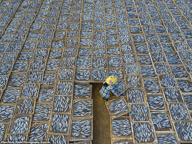 Du lịch - Ấn tượng với khoảnh khắc bình dị của Việt Nam trong ảnh đạt giải quốc tế