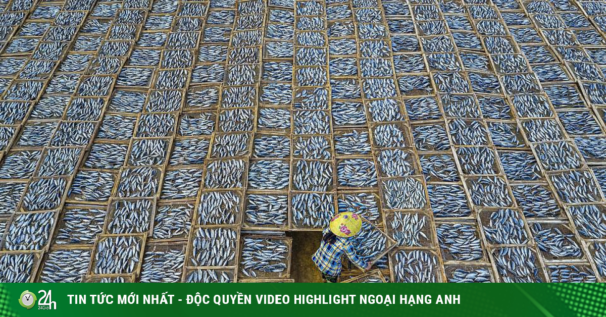 Ấn tượng với khoảnh khắc bình dị của Việt Nam trong ảnh đạt giải quốc tế