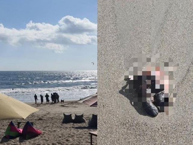 Phi thường - kỳ quặc - Hoảng hồn phát hiện bàn chân người trôi dạt bờ biển