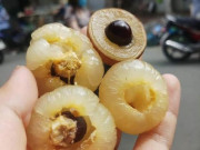 Thị trường - Tiêu dùng - Loại nhãn lạ có cùi cuộn như bắp cải, giá cao gấp 5 lần nhãn thường vẫn được săn lùng