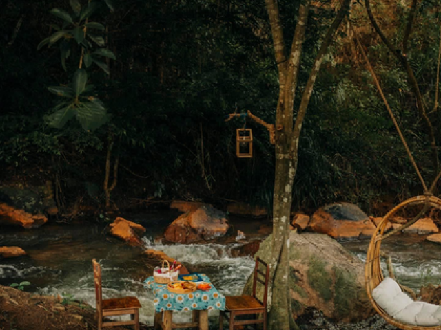 Du lịch - Đà Lạt quá chill: "Đổi cảnh" ở hai tiệm cà phê có view thiên nhiên đẹp đến nao lòng