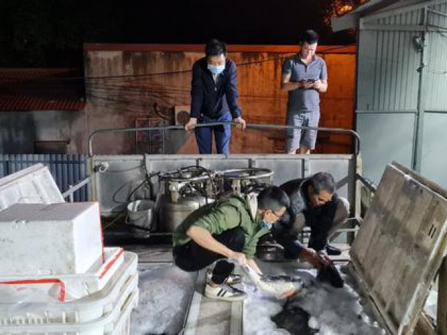 Thị trường - Tiêu dùng - Bất chấp những chỉ đạo “nóng”, cá tầm Trung Quốc vẫn được cấp phép nhập khẩu về Việt Nam