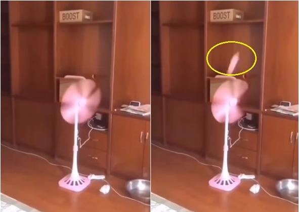 Cánh quạt bay tứ tung sau khi được cắm điện.