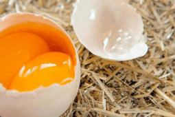 Thị trường - Tiêu dùng - Dân Việt săn lùng trứng gà song sinh để làm gì?