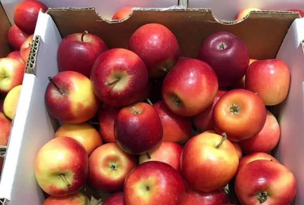 Dân buôn “vén màn” loại táo mini Úc giá siêu rẻ, chỉ từ 60.000 đồng/kg bán đầy chợ mạng - 3