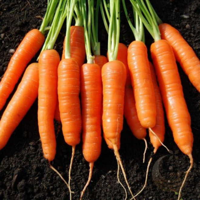3 nhóm người nên tránh xa cà rốt để không rước họa vào thân - 2