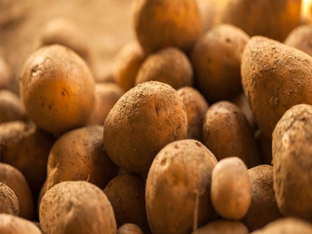 Thị trường - Tiêu dùng - Rau củ nghe tên quen thuộc nhưng có giá “siêu to khổng lồ”, có loại 20 triệu đồng/kg