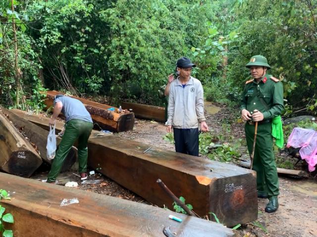 Pháp luật - "Ngược đời lâm tặc tố kiểm lâm... tiếp tay phá rừng": Truy tố 5 người