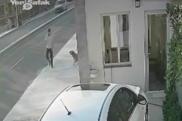 Video: Nhảy xuống đường né chó cắn, nam thanh niên bị xe ô tô đâm kinh hoàng