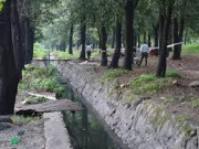 Tội ác của người chồng đa tình sau khi  mây mưa  với vợ: Cuộc hôn nhân ngắn ngủi