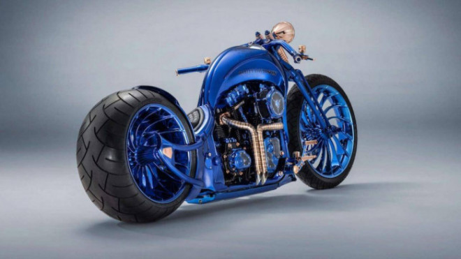 Chiêm ngưỡng mô tô Harley-Davidson độ đẹp nhất thế giới - 8