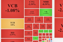 Kinh doanh - Chứng khoán rực lửa, đại gia cũng &quot;khóc&quot;