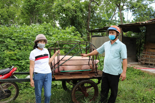 Bà Nguyễn Thị Hạt (bên trái) quyên góp con lợn nặng 1,2 tạ để làm muối sả thịt, đóng hộp gửi vào TP HCM