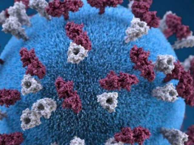 Thế giới - Cảnh báo chủng virus đột biến kép mới xuất hiện ở Ấn Độ, nguy hiểm ngang Delta