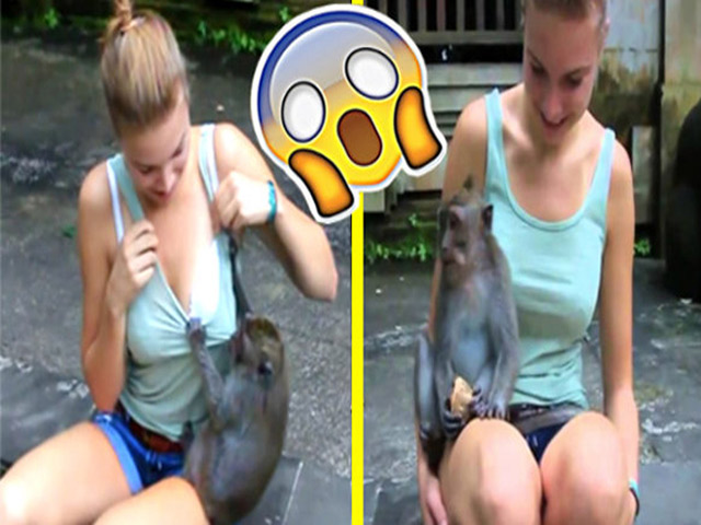 Tranh vui - Chị em khóc thét khi bị động vật "thân thiết" vượt mức cho phép