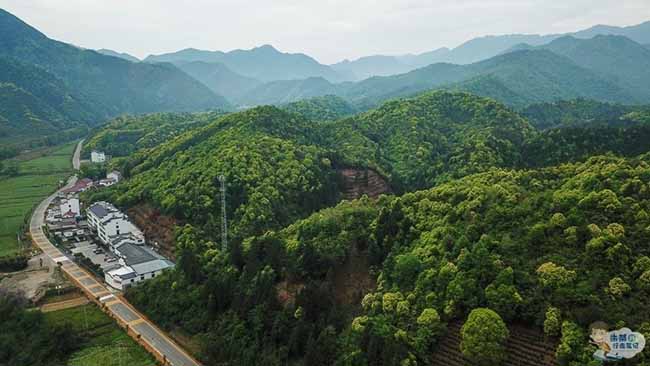 Hệ sinh thái nguyên thủy gồm một số thị trấn bên trong thành phố này được rất nhiều du khách yêu thích.
