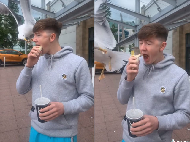 Bạn trẻ - Cuộc sống - Clip: Thanh niên trở tay không kịp khi bị "cướp" đồ ăn trên miệng