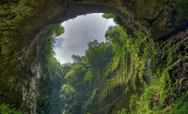 Hang Sơn Đoòng của Việt Nam: Hang động đặc biệt này có một cửa sổ trời khổng lồ giúp hang nhận được lượng ánh sáng mặt trời lớn khiến thảm thực vật phát triển rất tốt và điều này đã đưa hang Sơn Đoòng trở thành một trong những hệ thống hang động đẹp nhất thế giới.

