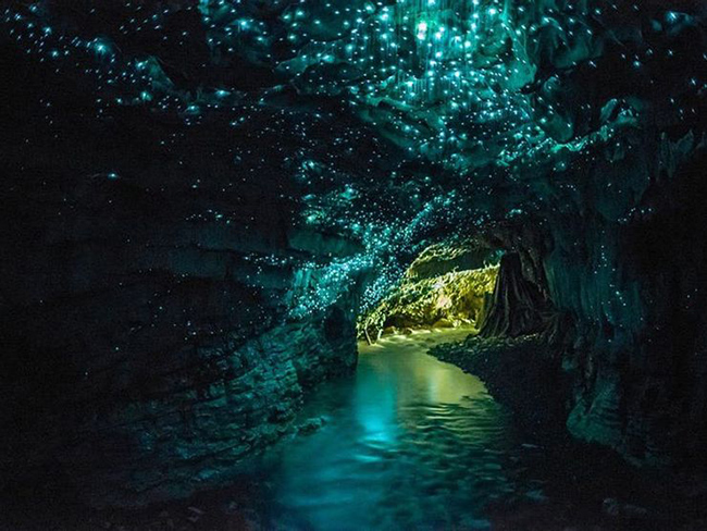 Hang động Waitomo Glowworm ở New Zealand: Hang động nằm ở New Zealand này phát ra ánh sáng rất kỳ lạ, nhưng chúng xuất phát từ tự nhiên và là kết quả của một loại sinh vật sống trong hang động có biệt danh là "giun phát sáng". 
