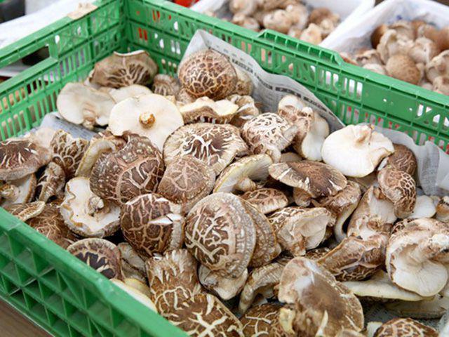 Nấm hương Nhật hơn 8 triệu đồng/kg, dân Hà Nội mua về xào rau, nấu canh ăn hằng ngày - 5