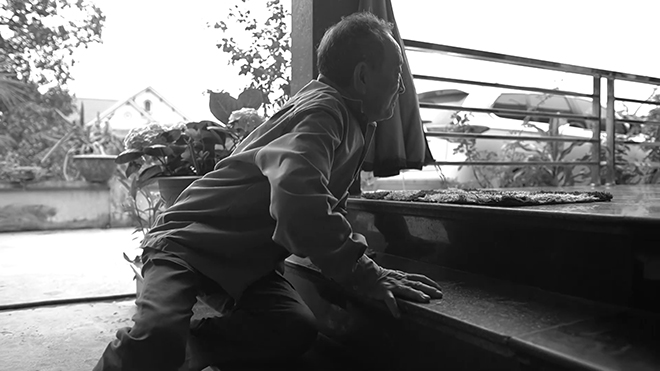 Phát hiện nắm lá "cực nhạy" với người đau lưng, đau mỏi vai gáy dai dẳng, dùng ngày 2 lần là ổn! - 2