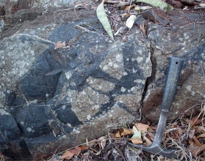 Phiến đá nơi tìm thấy hóa thạch đặc biệt - Ảnh: Barbarra Cavalazzi